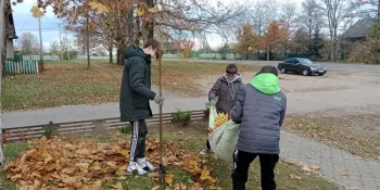 Акция "Чистый двор"