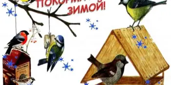 Экологическая акция «Зимующим птицам - нашу заботу».