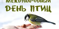 Участвуем в международном Дне птиц