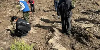 Продолжаем участвовать в акции "Лес! Дабро! Парадак!"