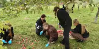 Осень — это не только время начала учебного года, но и традиционная пора сбора урожая