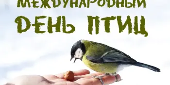 ЭКО-рубрика "по страницам Зеленых школ"